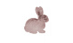 Accessories Carpet Lovely Kids Rabbit Pink - buy in Blest